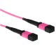 ACT Multimode 50/125 OM4 polarity B fiber cable with MTP female connectors 2m Pink RL7762 ACT Multimode 50/125 OM4 polarity B fiber cable with MTP female connectors 2m Pink RL7762