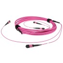 ACT Multimode 50/125 OM4(OM3) polarity A fiber trunk cable with 2 MTP/MPO female connectors each side 100m Pink DC5216