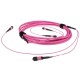 ACT Multimode 50/125 OM4(OM3) polarity A fiber trunk cable with 2 MTP/MPO female connectors each side 100m Pink DC5216 ACT Multimode 50/125 OM4(OM3) polarity A fiber trunk cable with 2 MTP/MPO female connectors each side 100m Pink DC5216