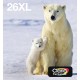 Epson Multipack 4-colours 26XL EasyMail C13T26364511 Epson Multipack 4-colours 26XL EasyMail C13T26364511