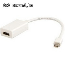 DisplayPort Mini DP - HDMI F CABLE-1107-0.