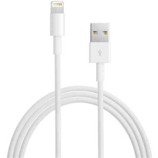 APPLE LIGHTNING TO USB CABLE (1,0 M)