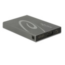 Delock Külso merevlemezház 2 x mSATA SSD  USB 3.1 Gen 2 USB Type-C™ hüvely, RAID-dal 42590