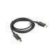 Lanberg cable Display Port M/M 1.8m 4K black CA-DPDP-10CC-0018-BK Lanberg cable Display Port M/M 1.8m 4K black CA-DPDP-10CC-0018-BK
