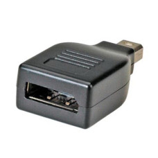 ROLINE Adapter DisplayPort - mini DisplayPort F/M