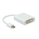 ROLINE Adapter Mini DisplayPort-DVI M/F ROLINE Adapter Mini DisplayPort-DVI M/F